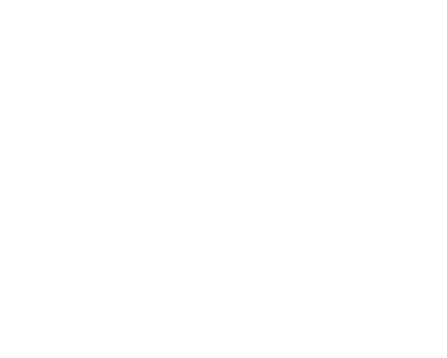 Y Not You